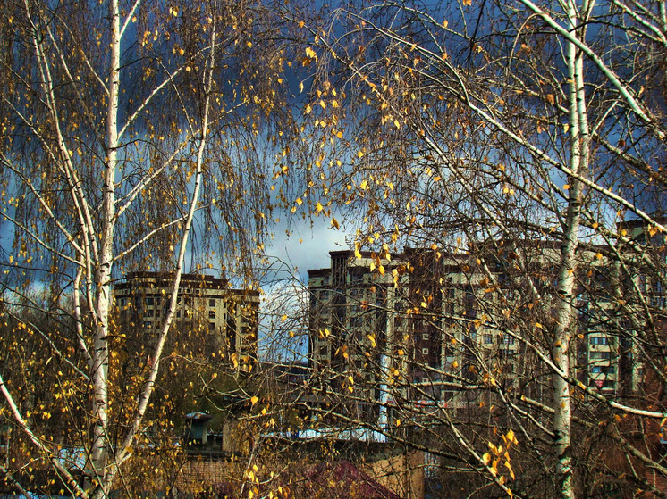  Ивановцам 17 ноября советуют сидеть дома: народные приметы на день Еремы