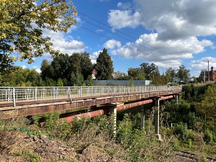 Выбрали подрядчика на разработку документации по ремонту моста в Ливнах