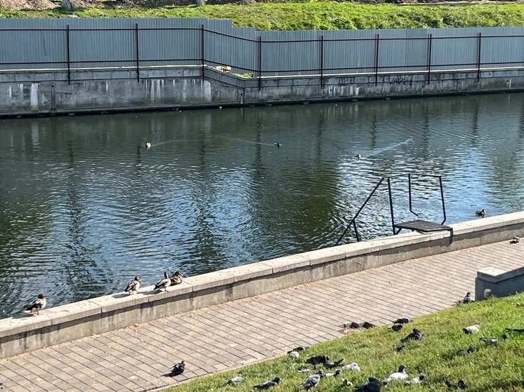 На Орловщине проверят безопасность 8 плотин