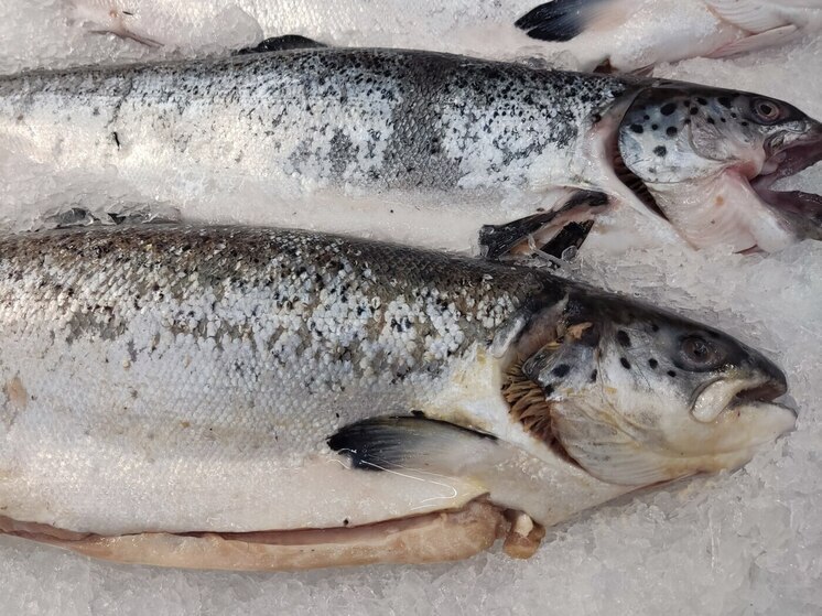 В Калининградскую область завезли свыше 800 тонн рыбы