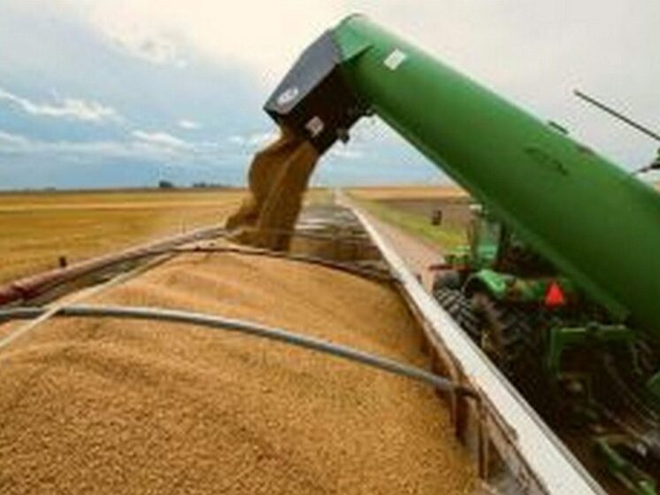 Бурятия экспортировала в КНР и Монголию более 30 тыс тонн зерновой продукции