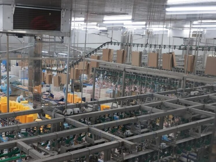 Жители Алтайского края жалуются на дефицит курицы в магазинах