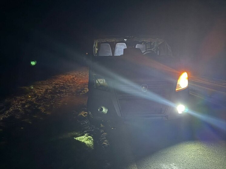 На дороге в Марий Эл сбили велосипедиста