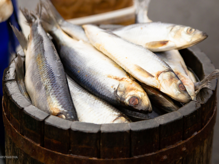 Бизнесмен торговал опасной рыбой на территории кинотеатра «Калевала» в Петрозаводске