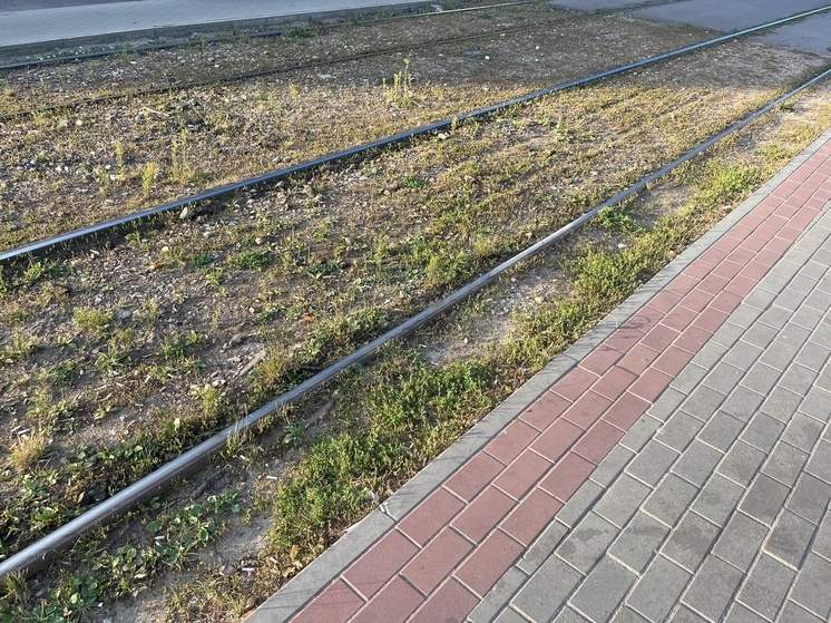 В ДНР планируют восстановить инфраструктуру электротранспорта