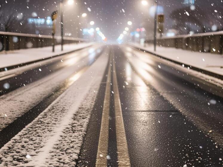 Понедельник пройдет в Пскове с мокрым снегом