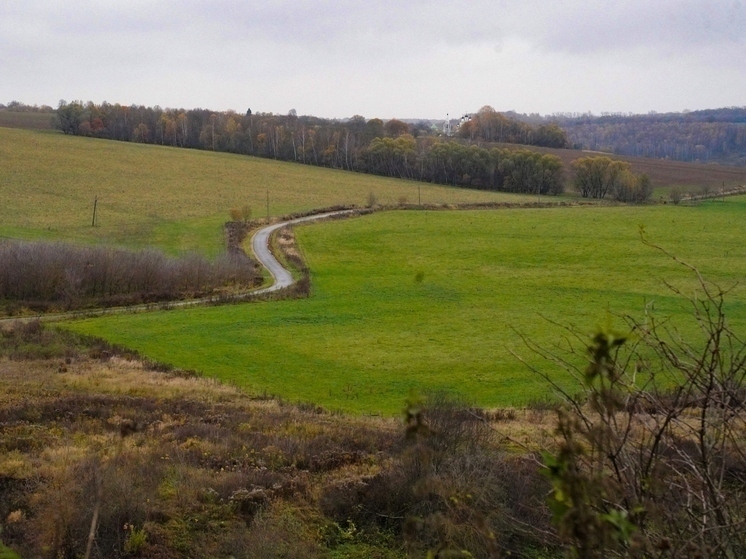 В Тульской области начнется суд над участниками земельной аферы под Суворовом