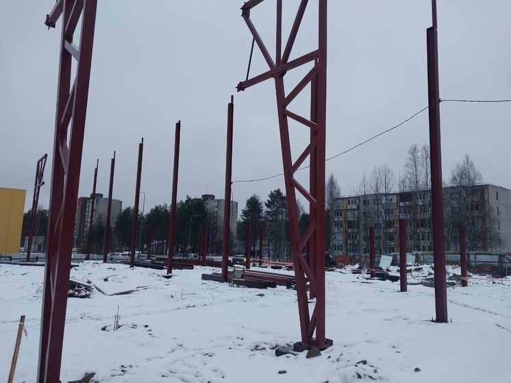 Стоимость возведения крытого катка в Костомукше снизилась на 30 миллионов рублей