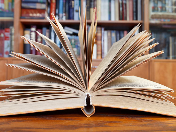 Архангелогородцы рассказали, как часто заходят в библиотеки