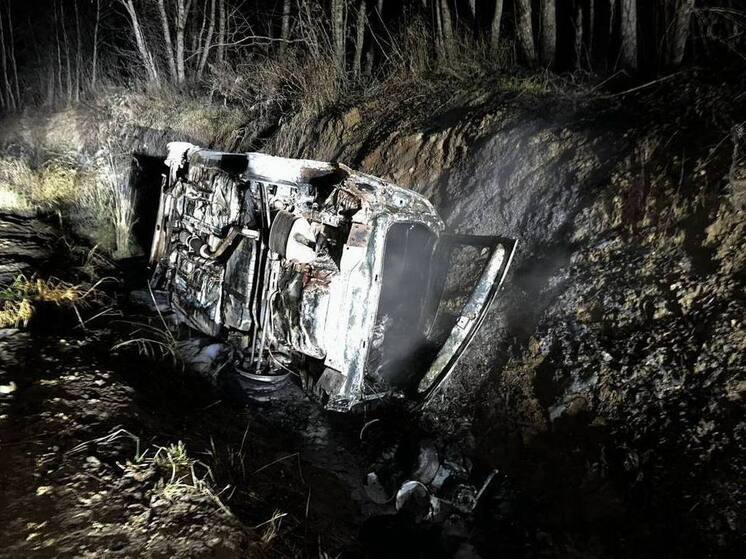 Иномарка рухнула в кювет и вспыхнула в Пестовском округе