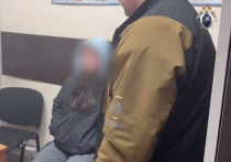 Женщина, совершившая убийство своего сына в подмосковной Балашихе, не смогла назвать мотив убийства