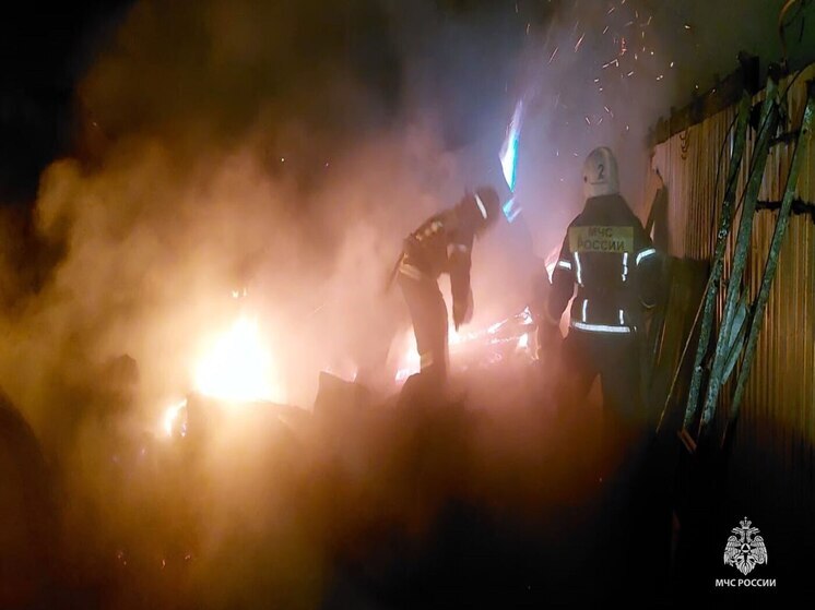 Пожар в дачном доме в Туле потребовал внимания 11 сотрудников МЧС