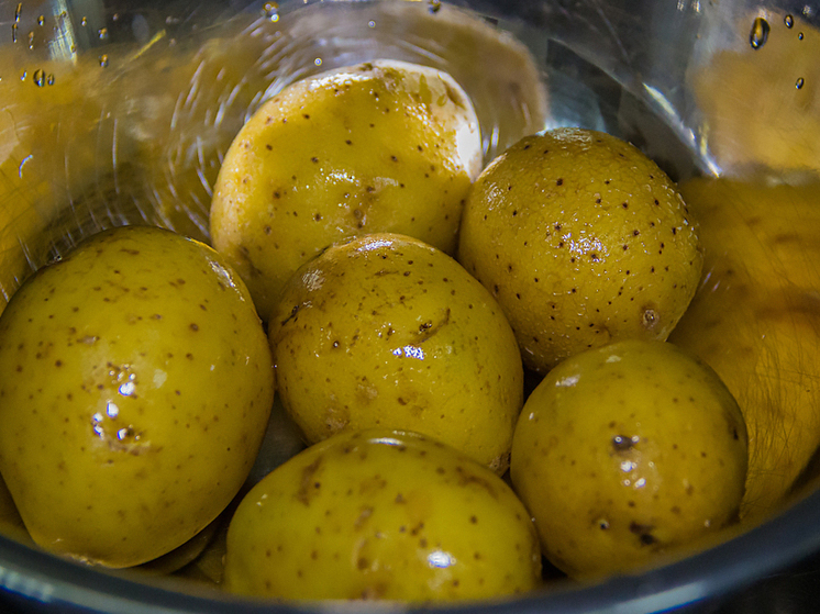 Тульские фермеры получат субсидии на выращивание картофеля и яблок