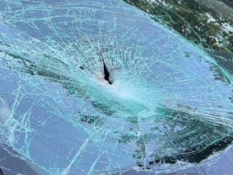 Водитель легковушки таранил автопогрузчик в поселке Шапки и погиб