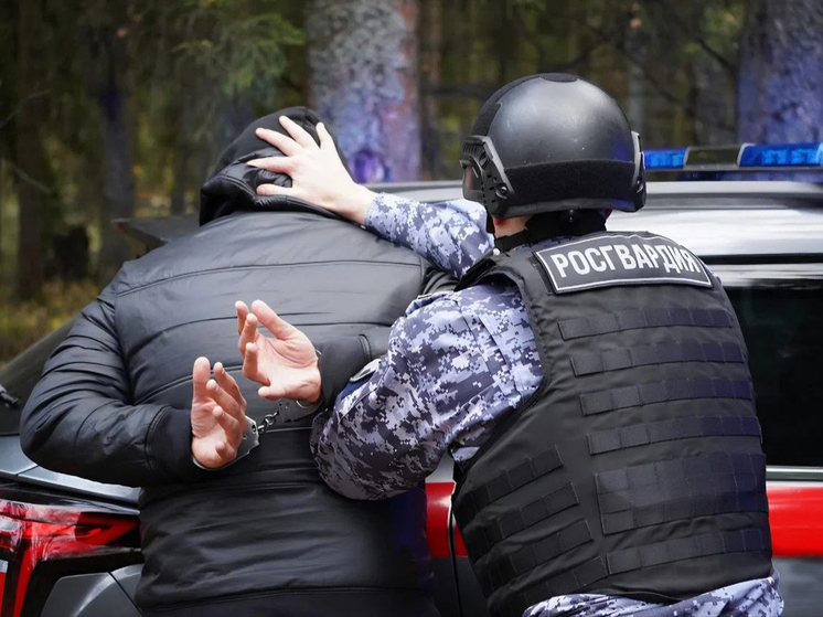 Росгвардия применила спецсредства при задержании пензенца, избившего супругу