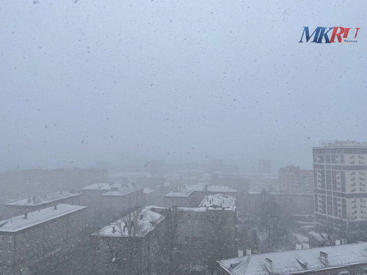 Мокрый снег и гололёд ожидаются в Рязанской области 17 ноября