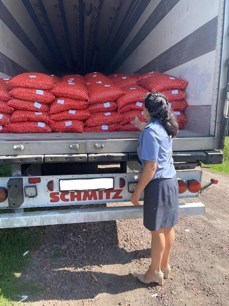 Более 1700 тонн лука-севка из Чувашии отправлено на экспорт с начала года