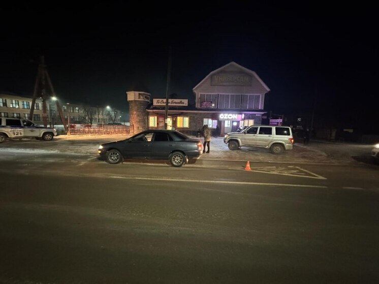 На Алтае автоледи сбила двух пешеходов