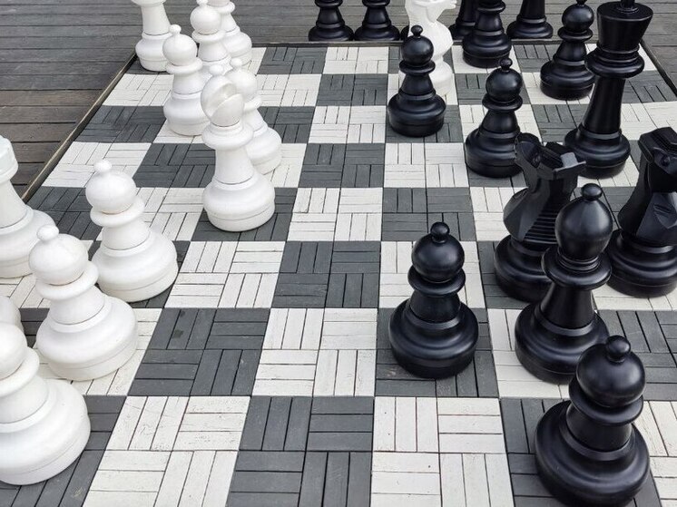 Шахматисты из киришского клуба «Гамбит» отличились в онлайн-турнире