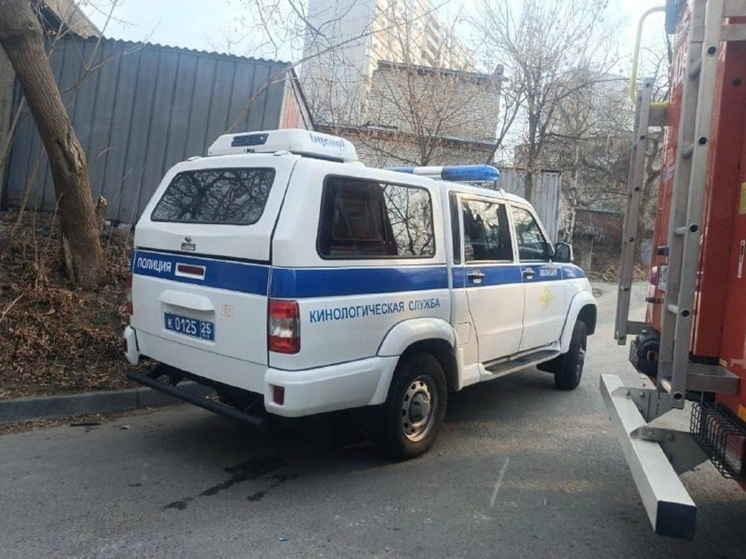 Подозрительный предмет: во Владивостоке эвакуировали учащихся школы №67 на Жигура