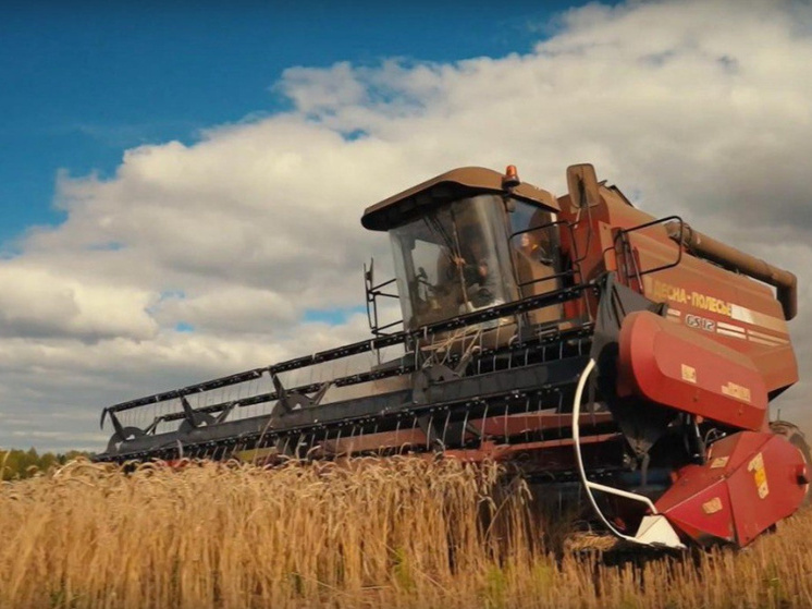 Власти Прикамья планируют увеличить финансовую поддержку агросектора