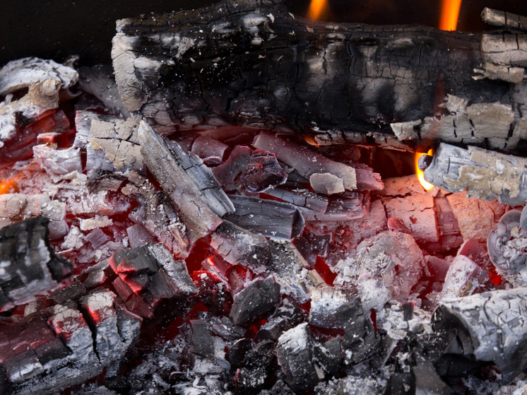 Один человек погиб на пожаре в Плесецком округе