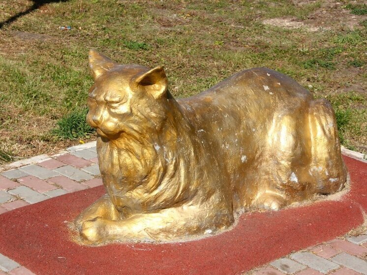 Каждый шестой самарец регулярно посещает библиотеки