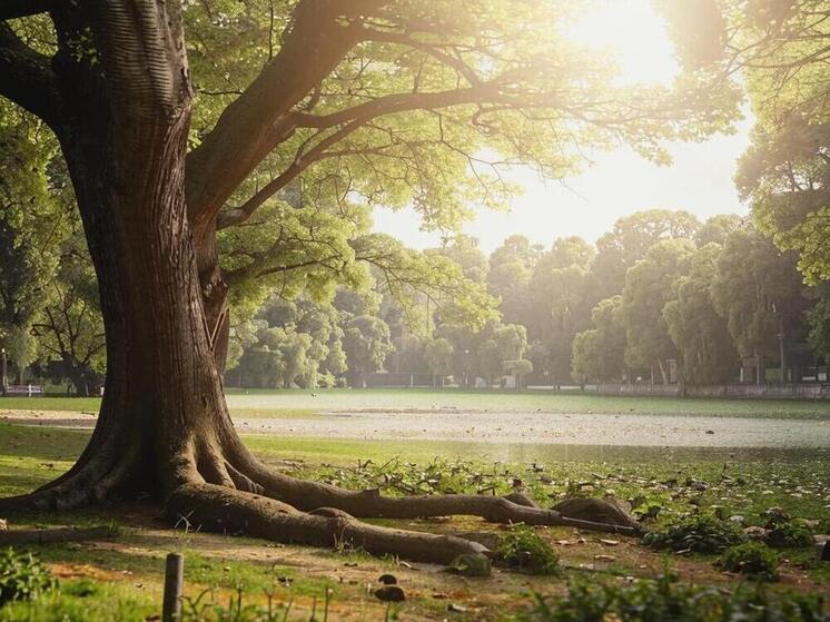 Дагестанские питомники увеличили производство саженцев плодовых культур