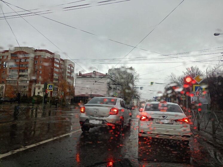 Дождь и ветер: синоптики рассказали, какой будет погода в Пензе 17 ноября