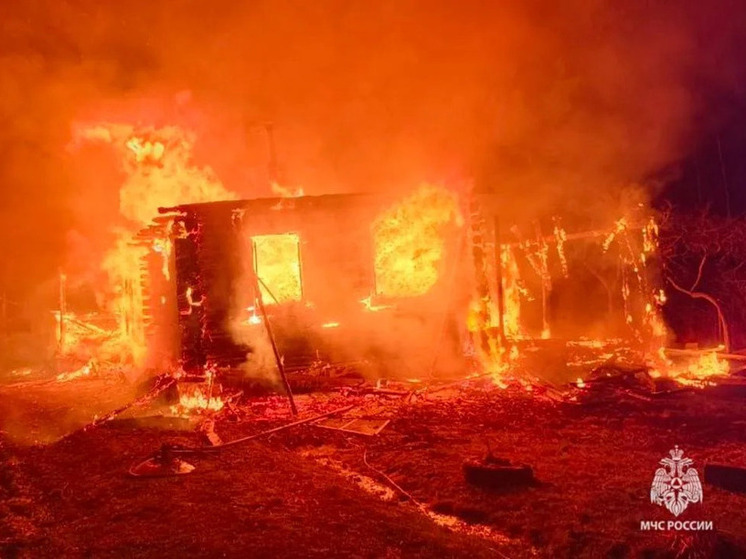 Огонь не оставил камня на камне от жилого дома и сарая в Чудовском округе
