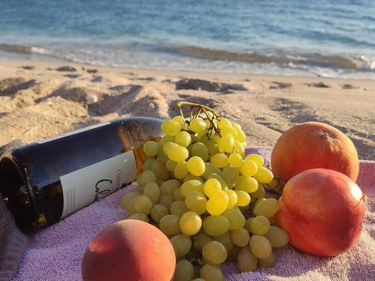 На Кубани собрали рекордные 305 тысяч тонн винограда в 2025 году