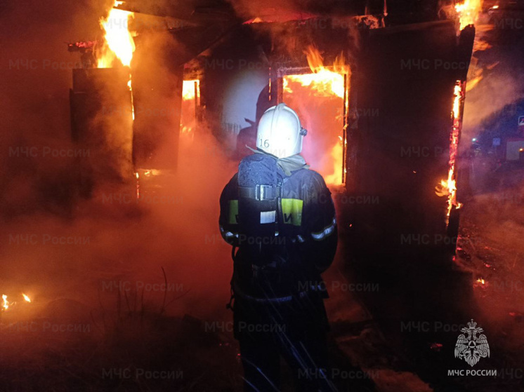 Брянские спасатели потушили пожар в Новозыбкове: пострадал ребенок