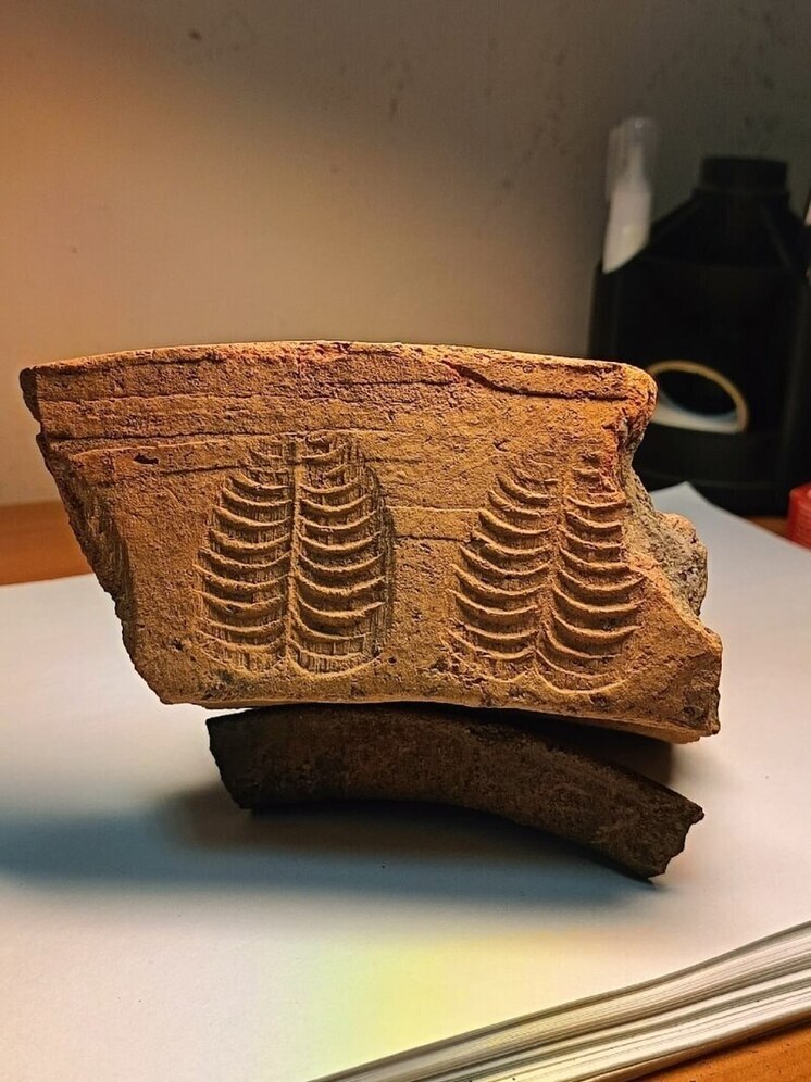 Псковские археологи обнаружили уникальные дуговые кирпичи XVI-XVIII веков