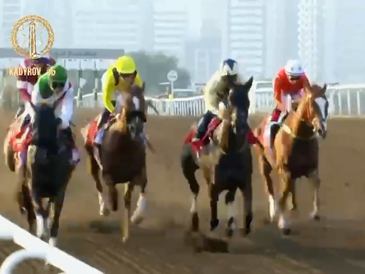 Скакун из Чечни завоевал Кубок Emirates в Дубае