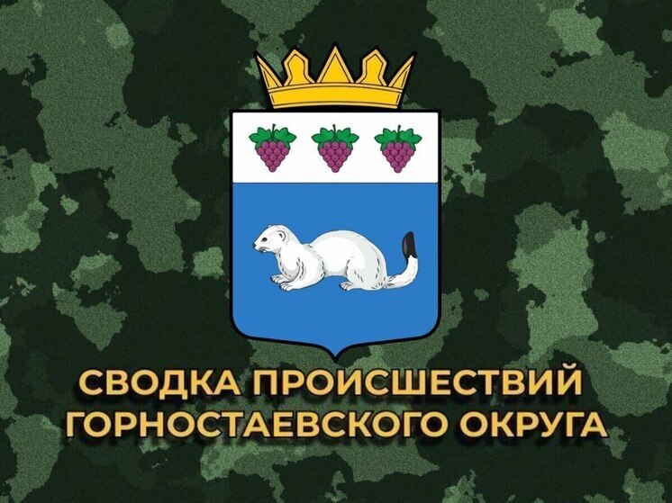 В результате атак повреждены пять частных домов в поселке Горностаевка