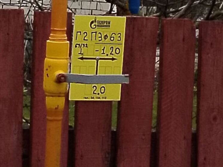 Еще в четыре населенных пункта Выборгского района пришел природный газ