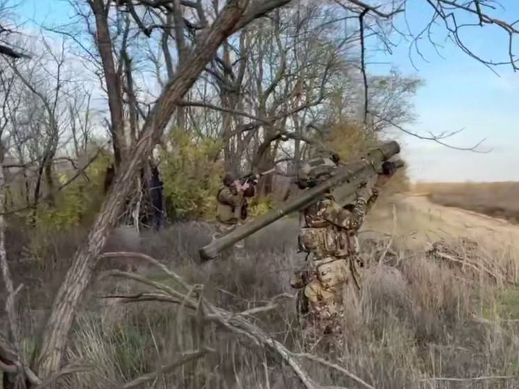 За неделю расчёты ПЗРК «Верба» сбили более десятка БПЛА ВСУ в Херсонской области