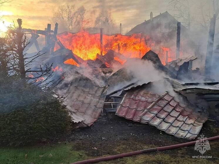Огонь полностью разрушил дачный дом в Тверской области