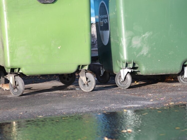 В Холмском округе кладбища оборудовали контейнерными площадками после иска в суд