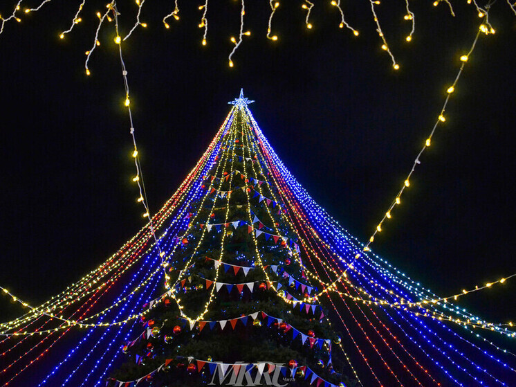 Районам Забайкалья рассказали, какими игрушками украшать ёлку в Чите