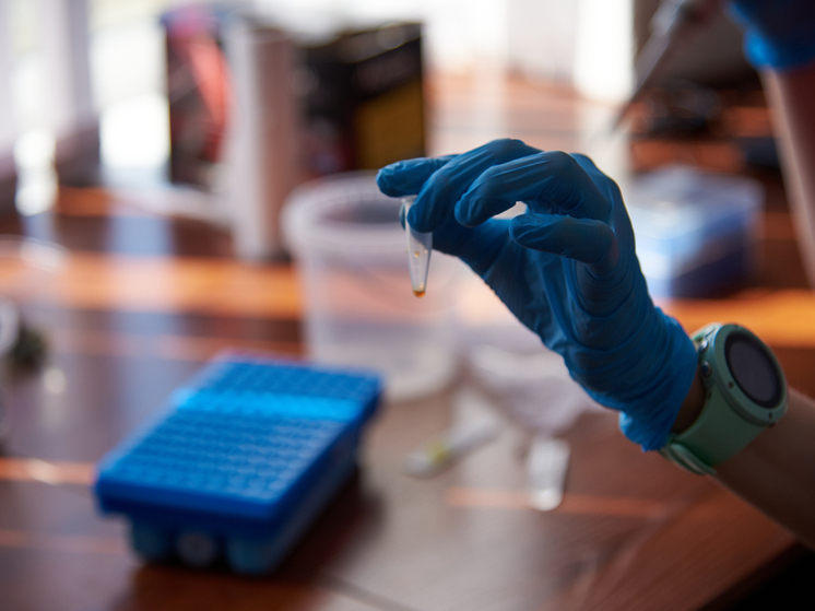 Новосибирская область создает единую сеть для борьбы с сахарным диабетом