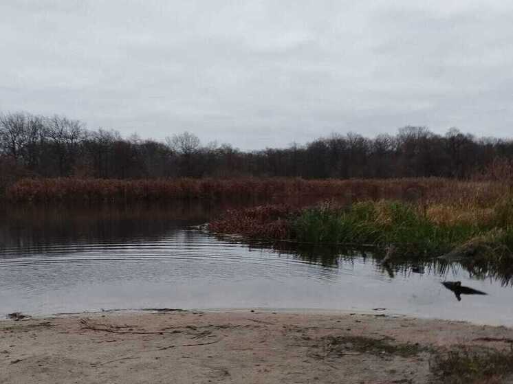 Из реки Усманка под Воронежем подняли тело женщины