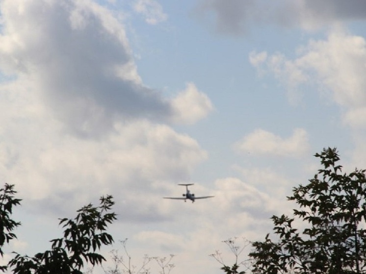 Федеральная антимонопольная служба России признала частично обоснованной жалобу компании «СДС-строй» на проведение торгов по реконструкции аэродрома в Барнауле