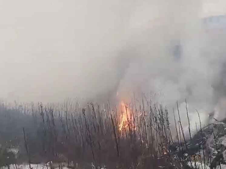 В Вельске горит мусорный полигон, распространяется едкий дым