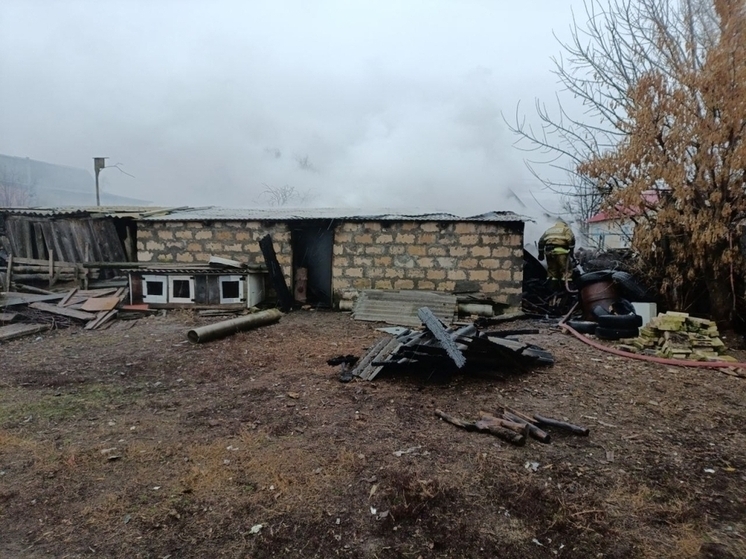 Домашние животные погибли при пожаре в селе Самарской области утром 16 ноября