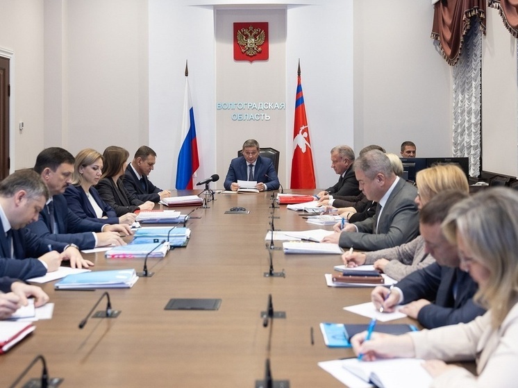 Бочаров рассказал об итогах осенней посевной кампании в Волгоградской области