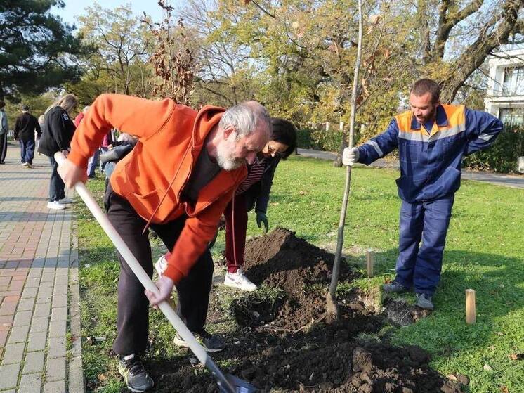 В Геленджике высадили дубы на новой аллее в честь героев ВОВ