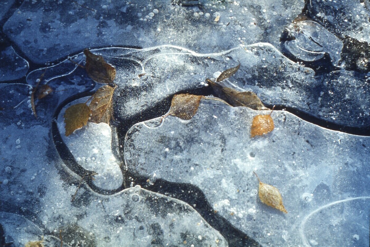 Четырехлетний ребенок погиб, провалившись под лед в Хакасии