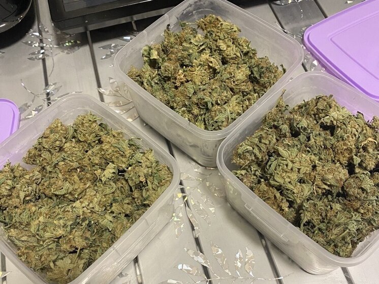 У жительницы Челябинска обнаружили большой запас наркотиков