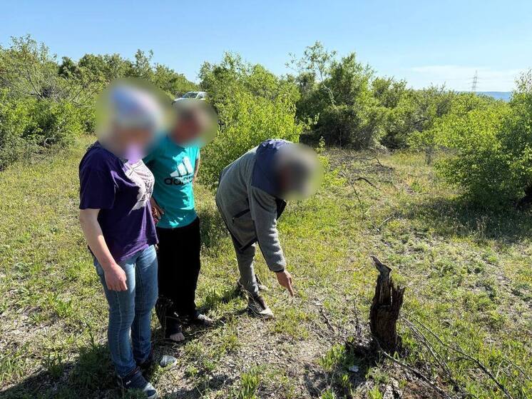 Житель Крыма получил 12 лет колонии за покушение на сбыт наркотиков